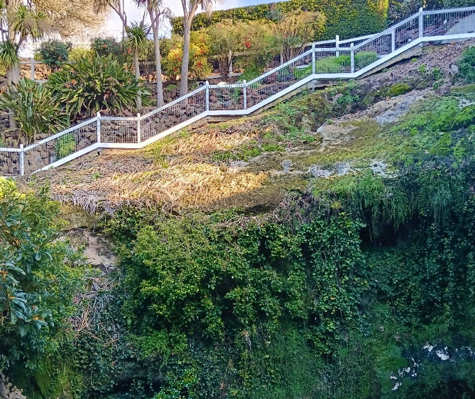 Cave Garden/thugi-芒特甘比尔必去景点