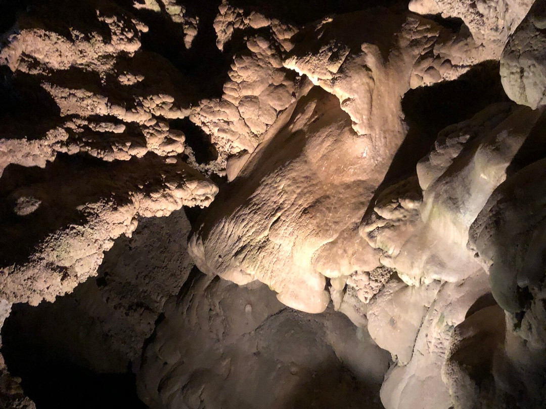 Oregon Caves National Monument And Preserve-凯夫章克申必去景点