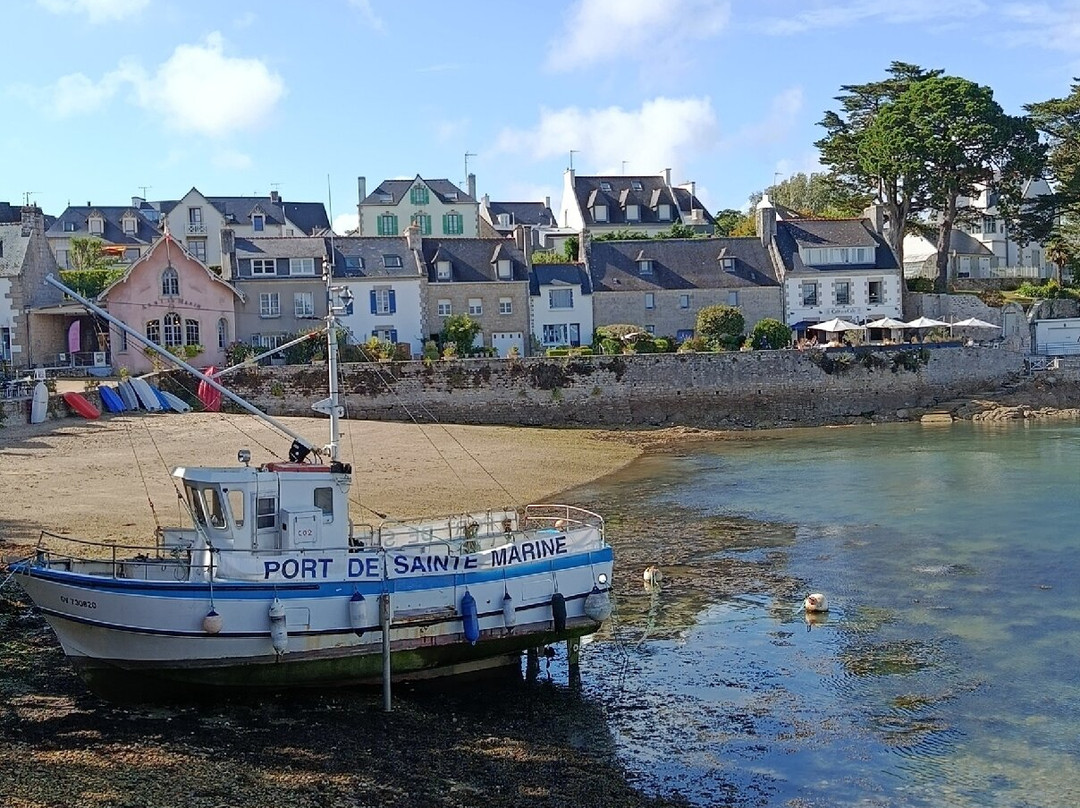 Port de plaisance-Sainte-Marine必去景点