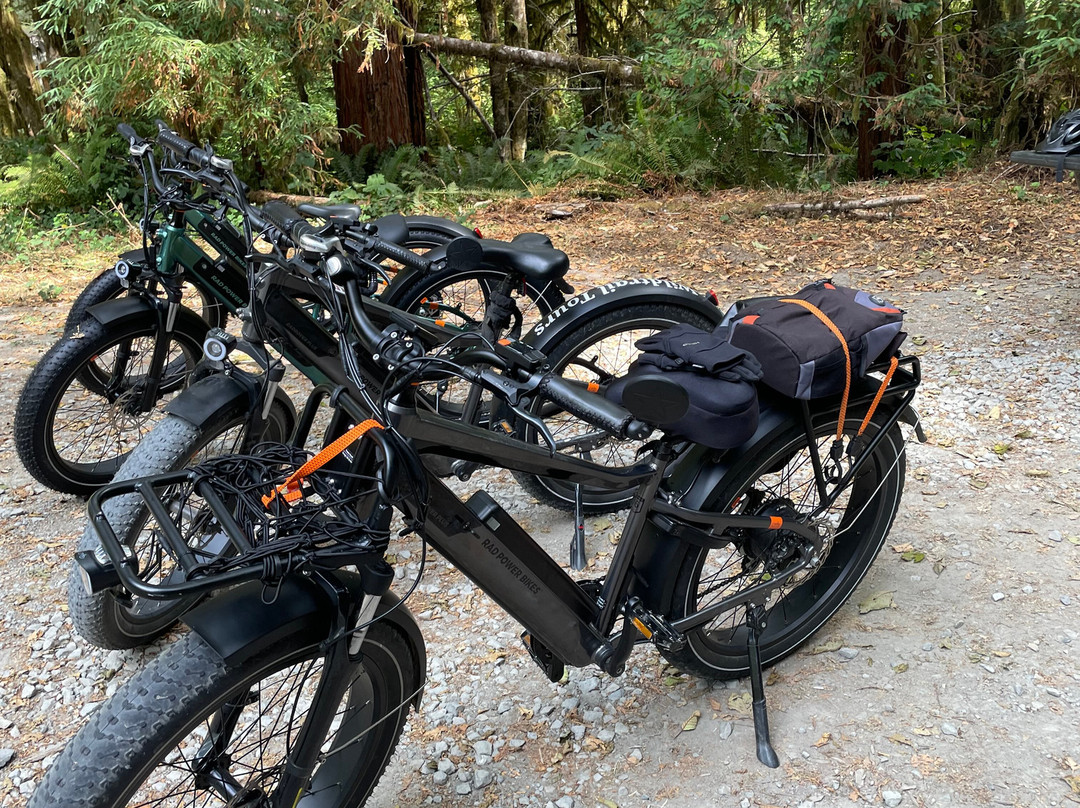 Wildtrail Tours-Arcata必去景点