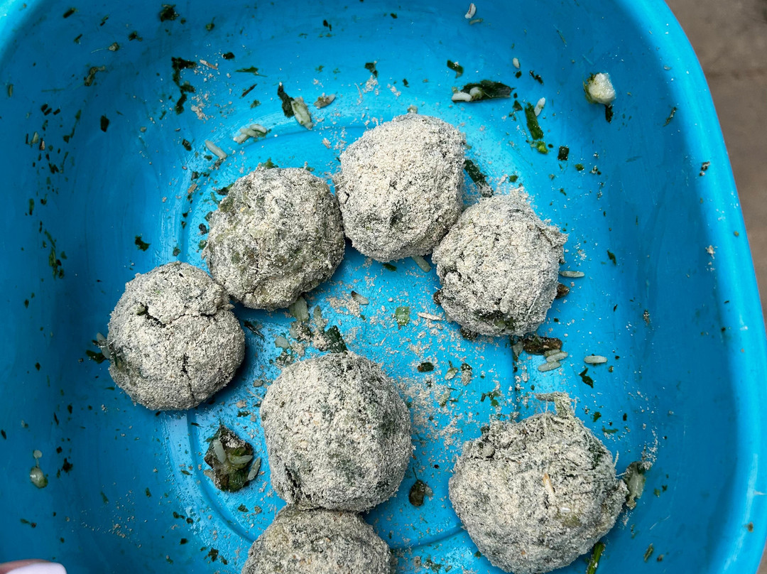 Samui Elephant Sanctuary-波普特必去景点