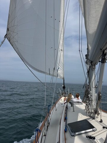 Martha's Vineyard Charter Company-Vineyard Haven必去景点