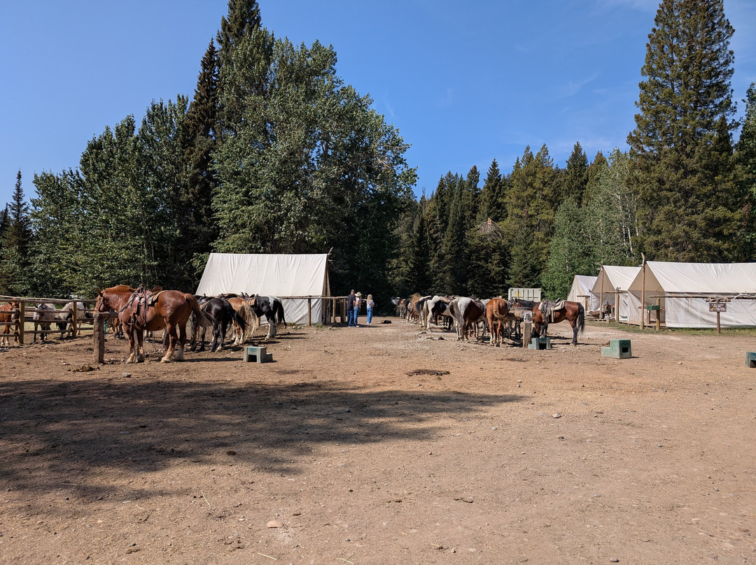 Swift Creek Outfitters & Teton Horseback Adventures-莫兰必去景点