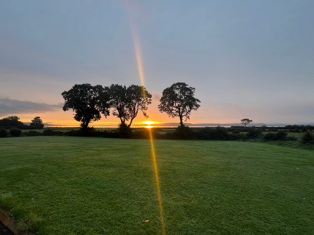 Cherrytree House B&B