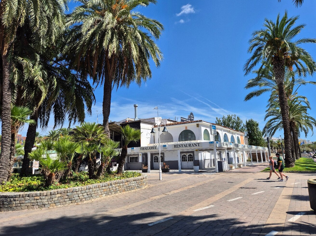 House of Illusion-萨洛必去景点