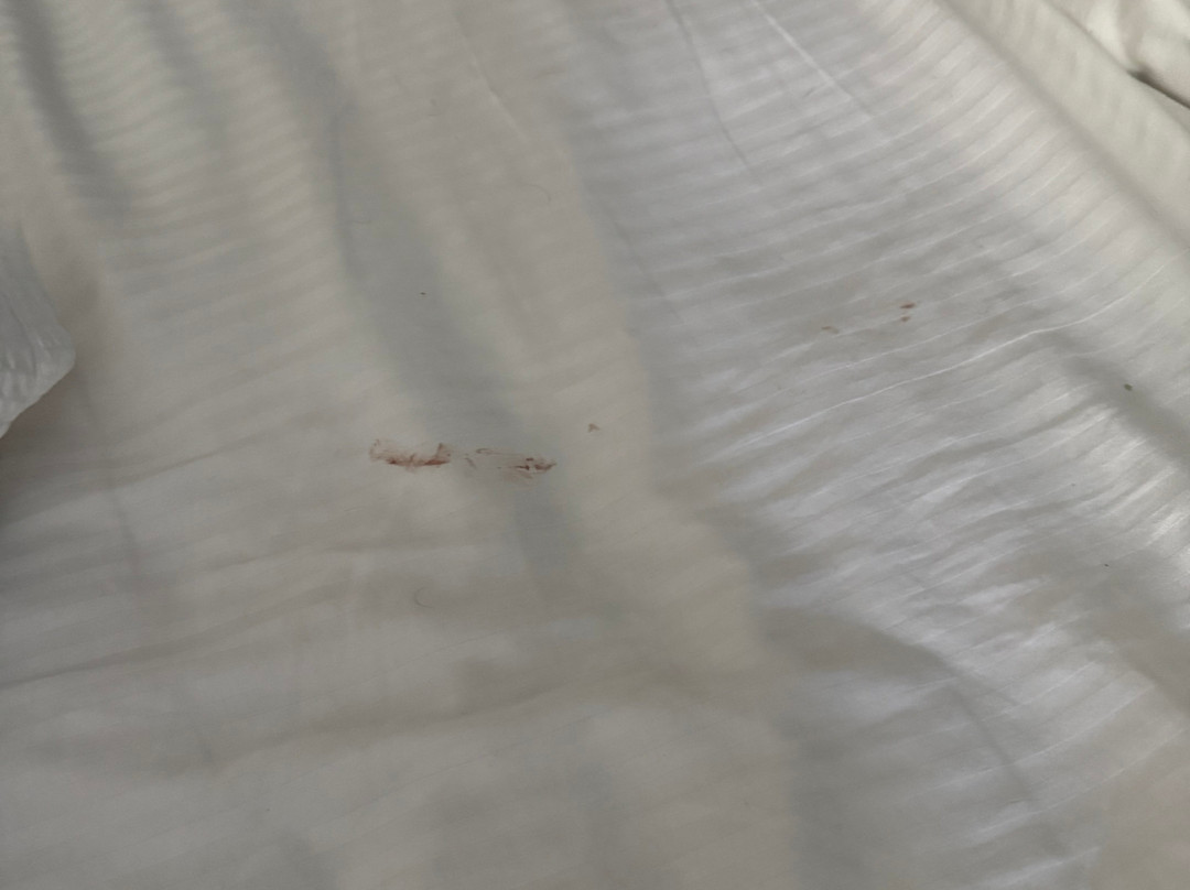 莫斯科帕尔曼拉金塔旅馆&套房酒店主图