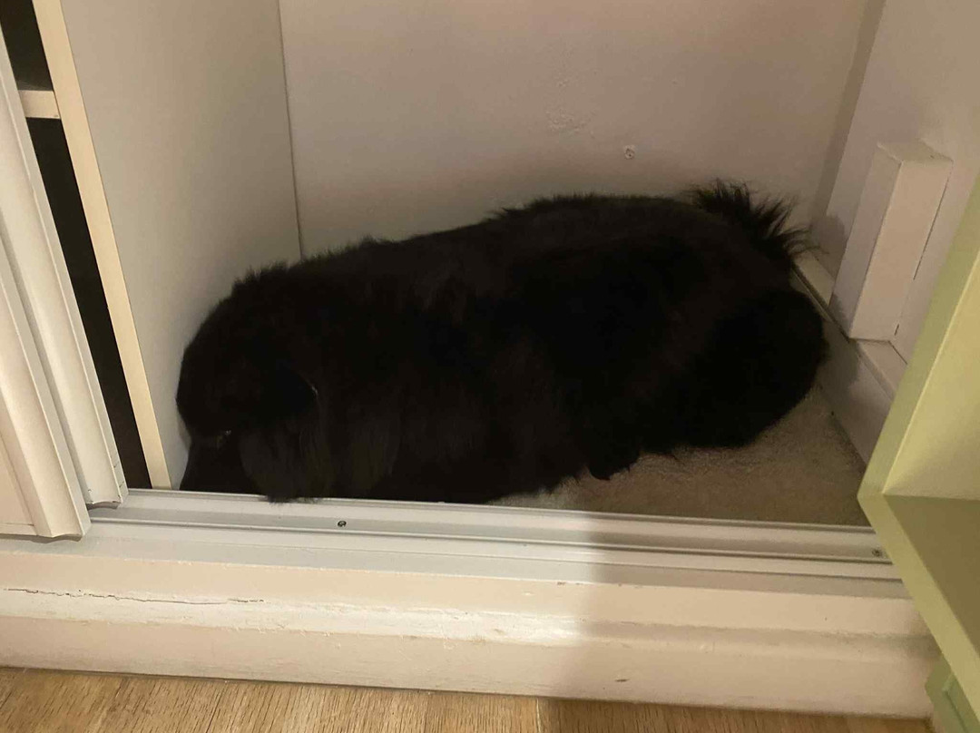 尼姆酒店住宿-Le Pré Galoffre