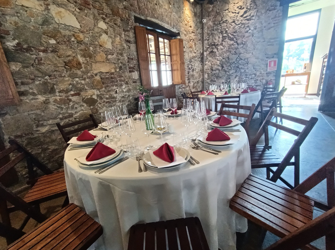 Varela Zarranz Winery-Canelones必去景点