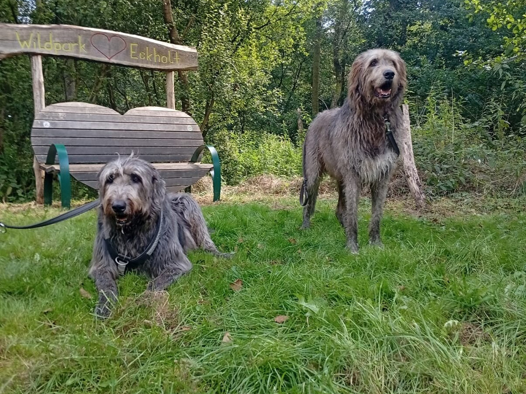 Wildpark Eekholt KG-Grossenaspe必去景点