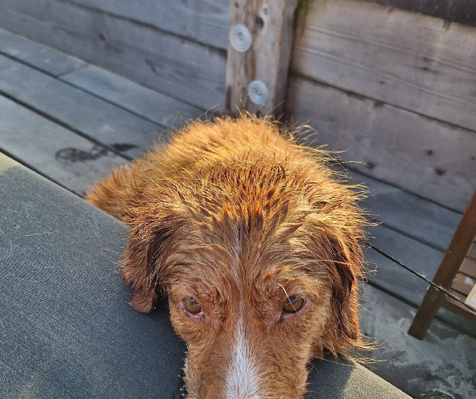 Hotel Restaurant Tesselhof主图