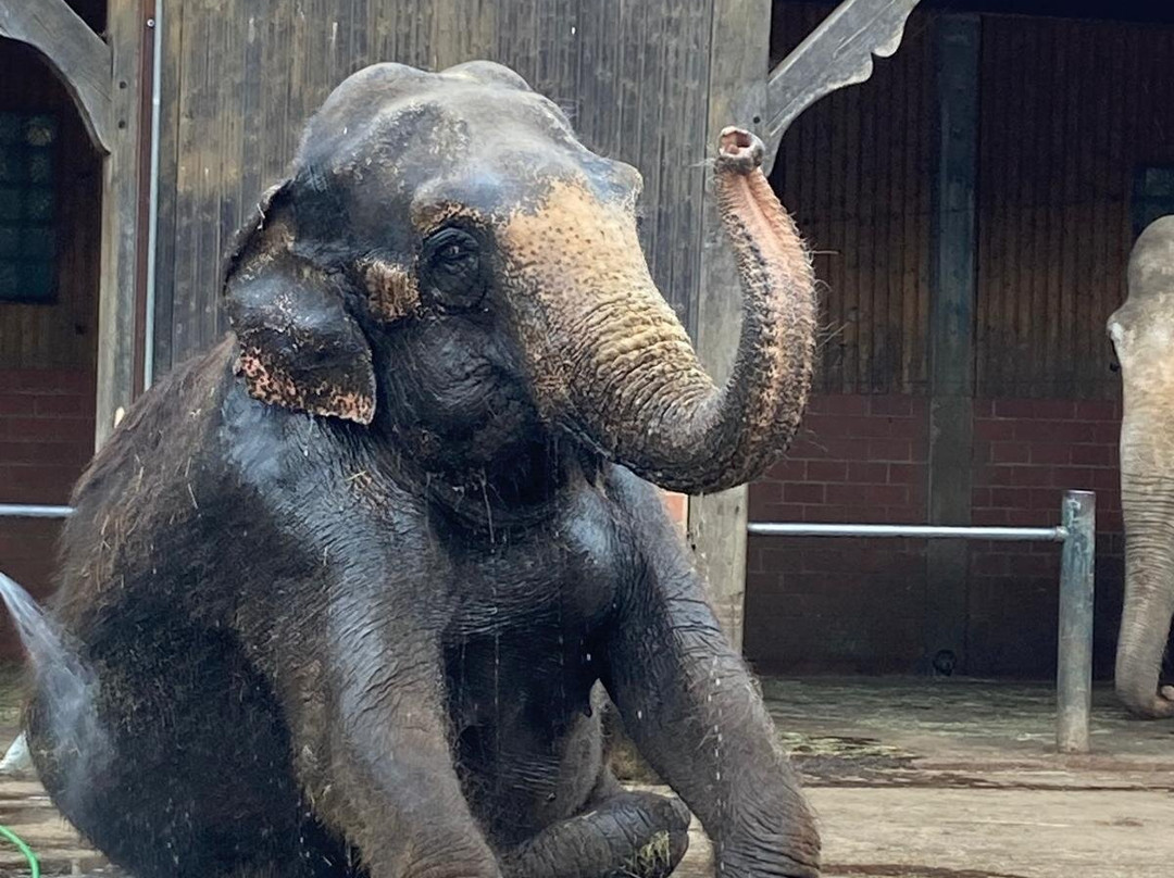Tierpark Ströhen - Der Entdeckerzoo-Strohen必去景点