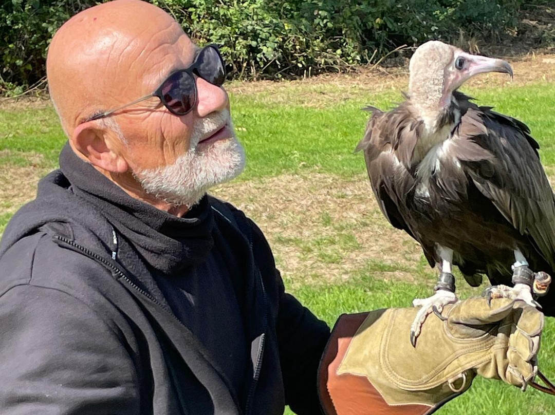 Surrey Hills Falconry-Ockley必去景点