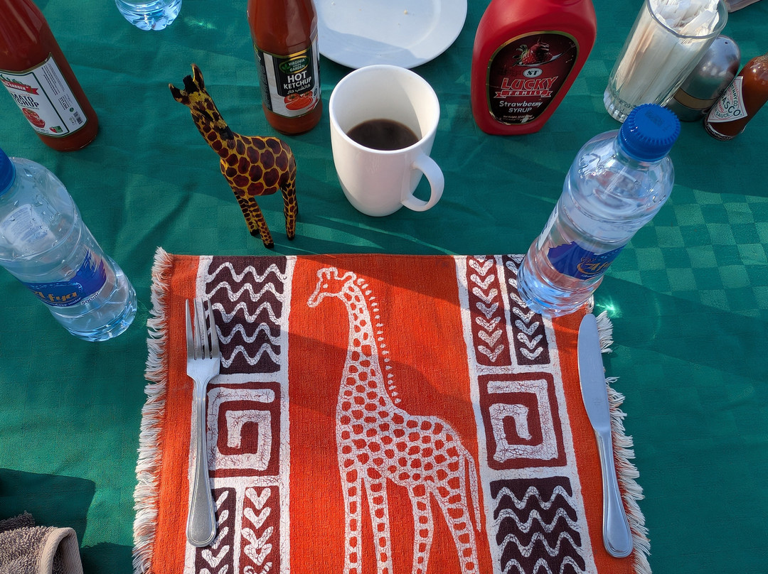 Adventures Aloft Balloon Safari Tanzania-Ikoma必去景点