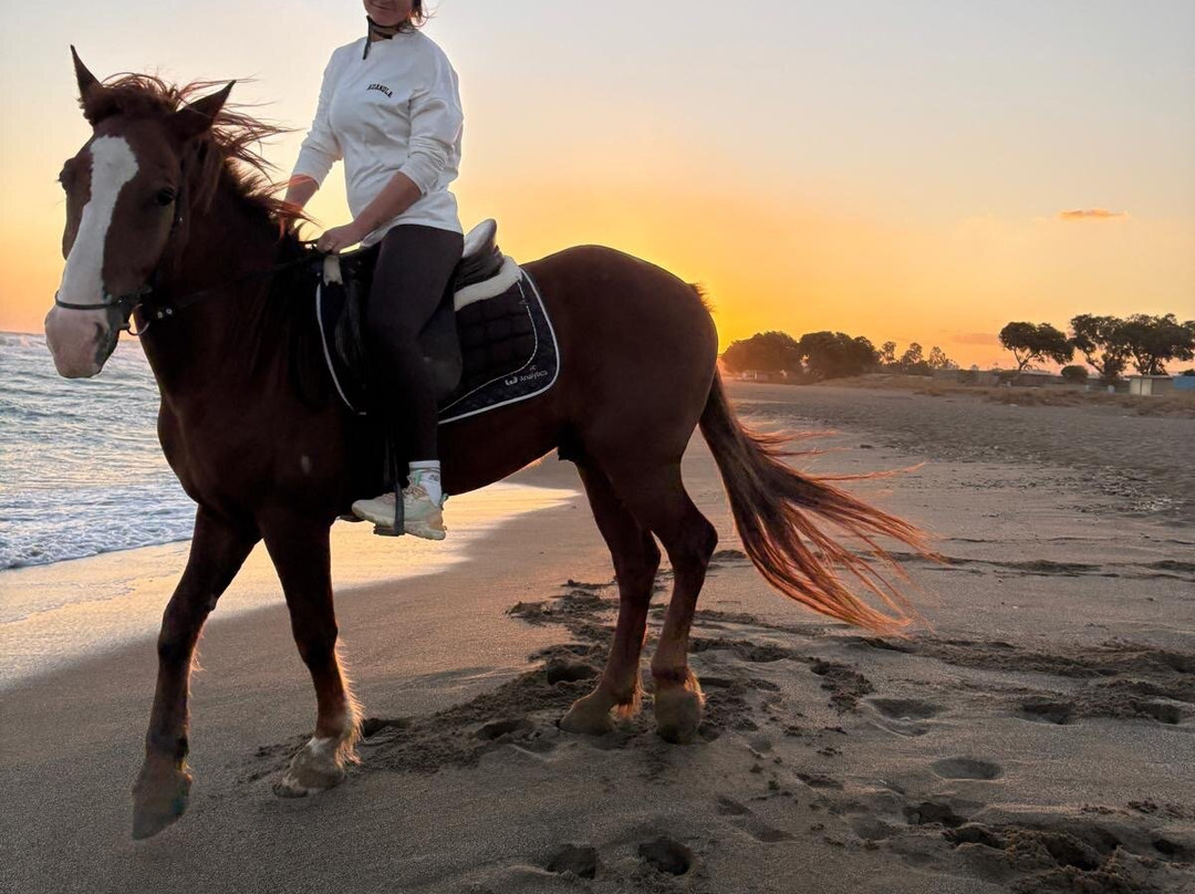 Hersonissos Horseriding-Finikia必去景点