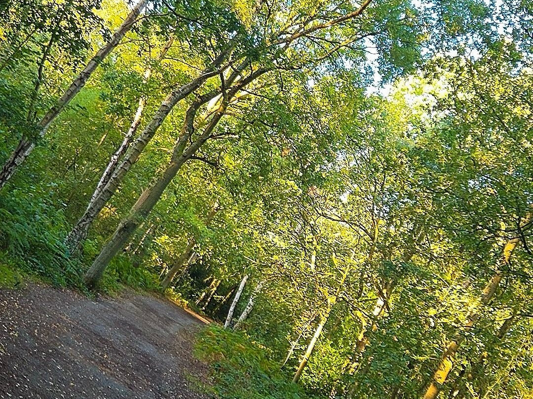 Beacon Hill Country Park-拉夫堡必去景点