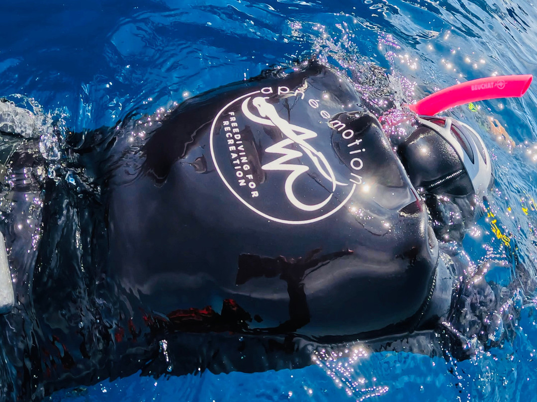 Apneemotion-Saint-Mandrier-sur-Mer必去景点