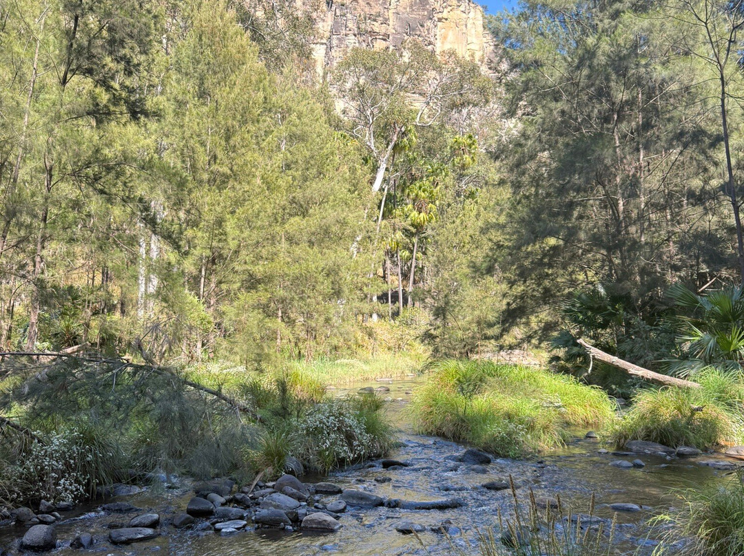 Australian Nature Guides-Carnarvon National Park必去景点