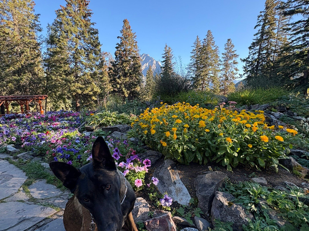 Cascade Gardens-班夫必去景点