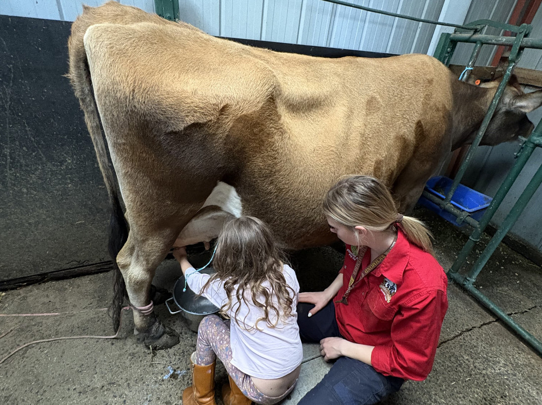 Animal Land Children's Farm-Diggers Rest必去景点