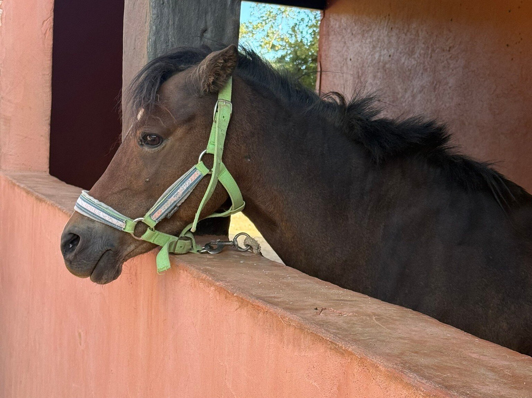 La Mène-格里莫必去景点
