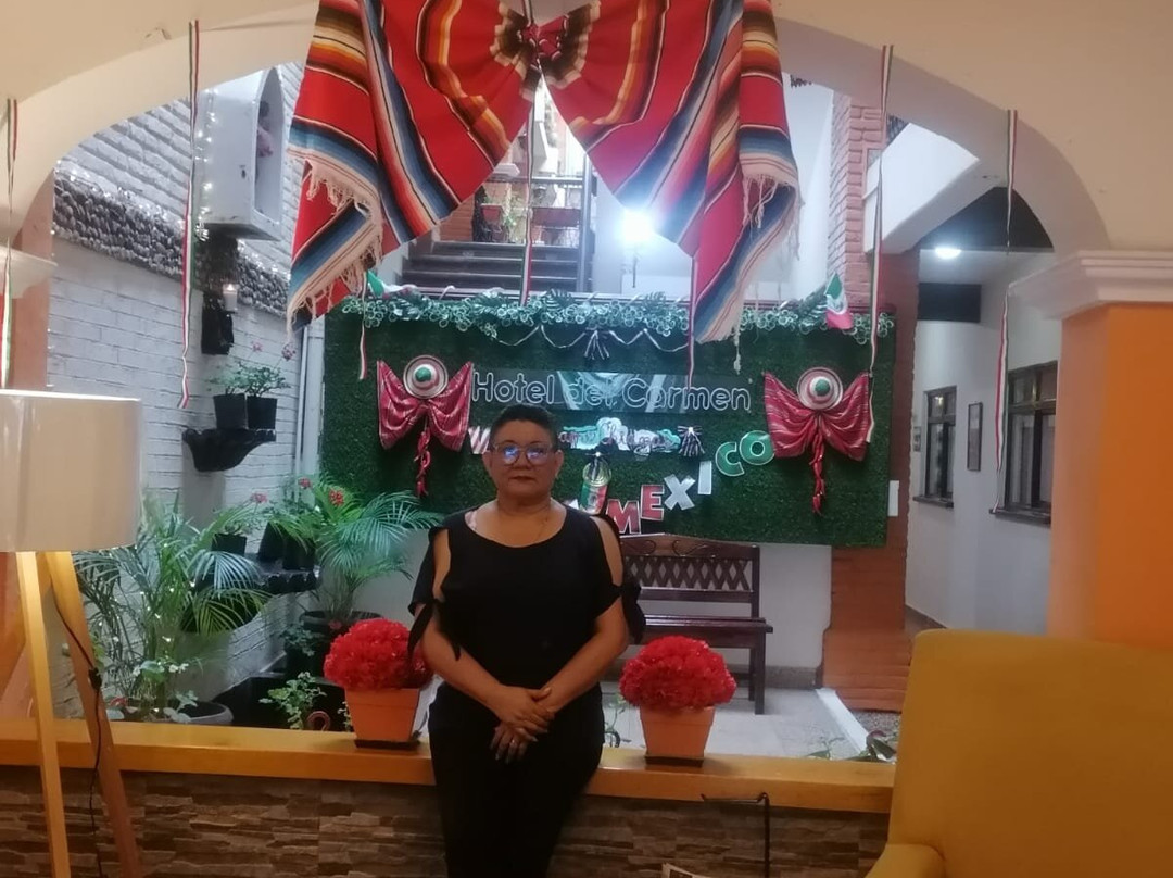 Hotel Del Carmen主图