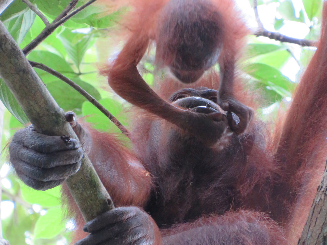 西必洛克自然度假村主图