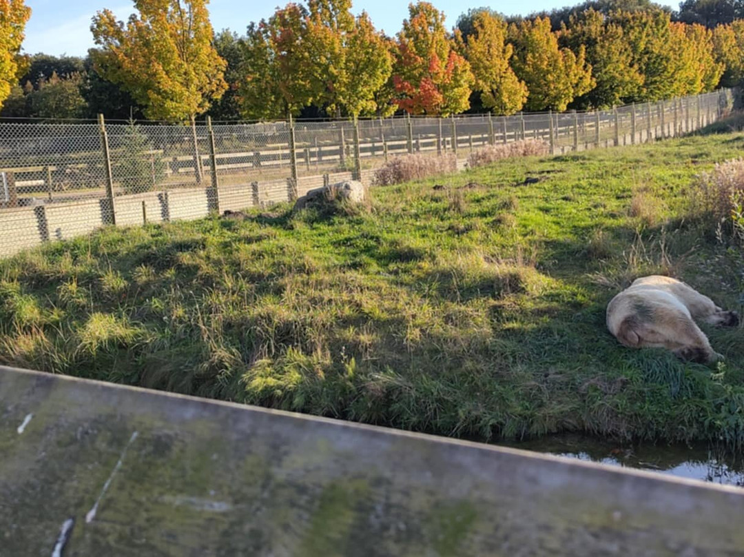 Scandinavian Wildlife Park-Kolind必去景点