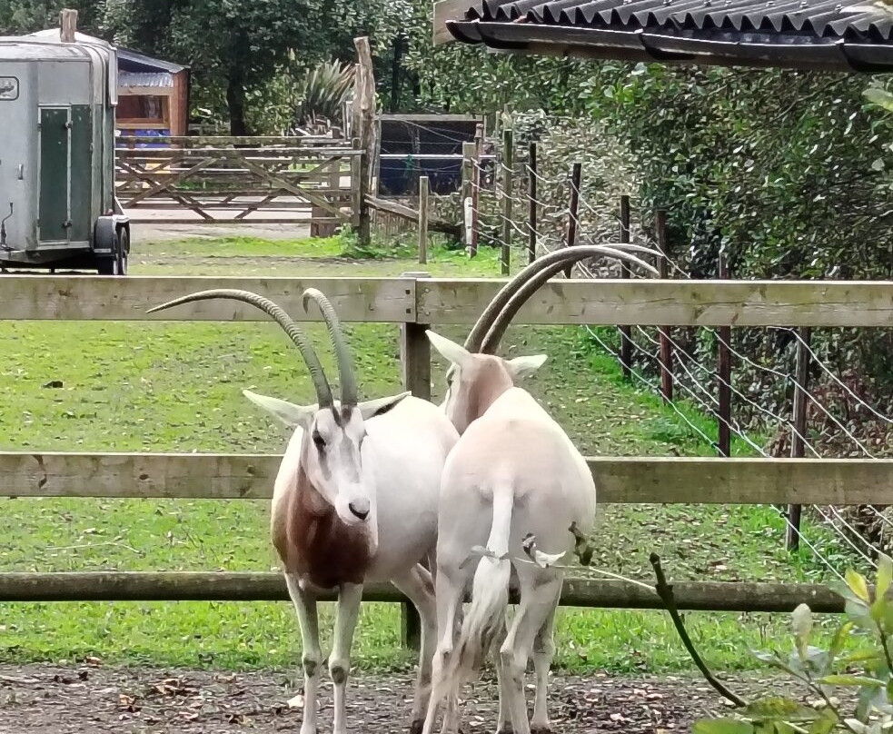 Manor Wildlife Park-St. Florence必去景点