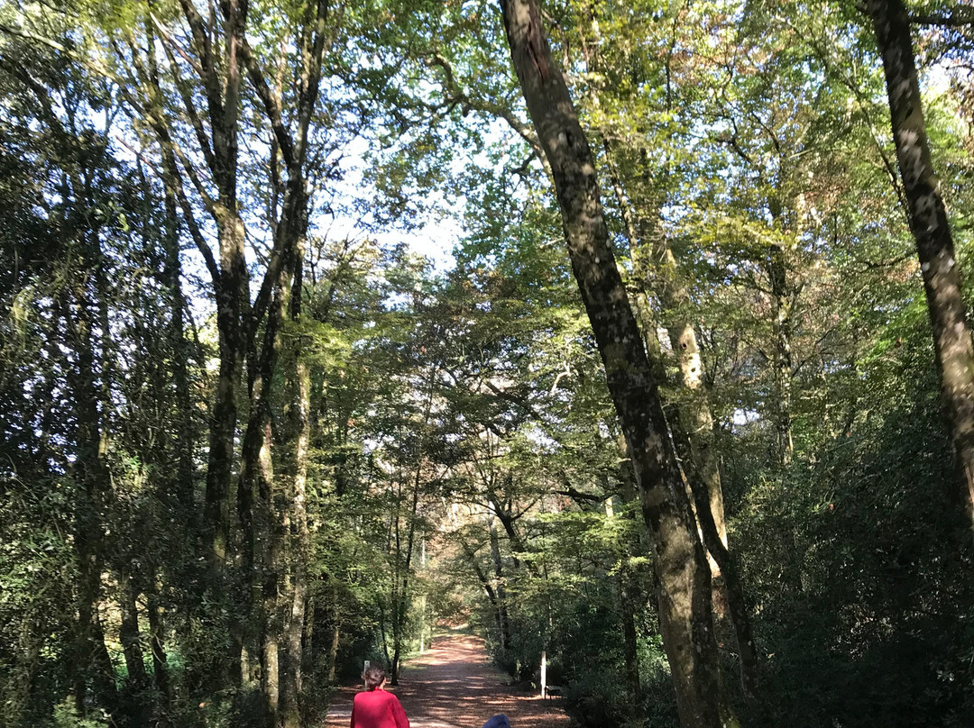Nantes Tourist Office-南特必去景点