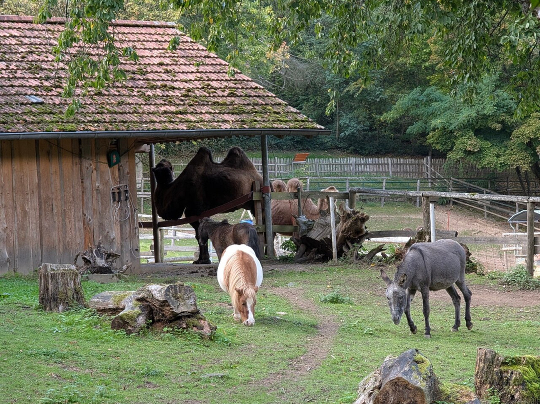 Neunkircher Zoologischer Garten-Neunkirchen必去景点