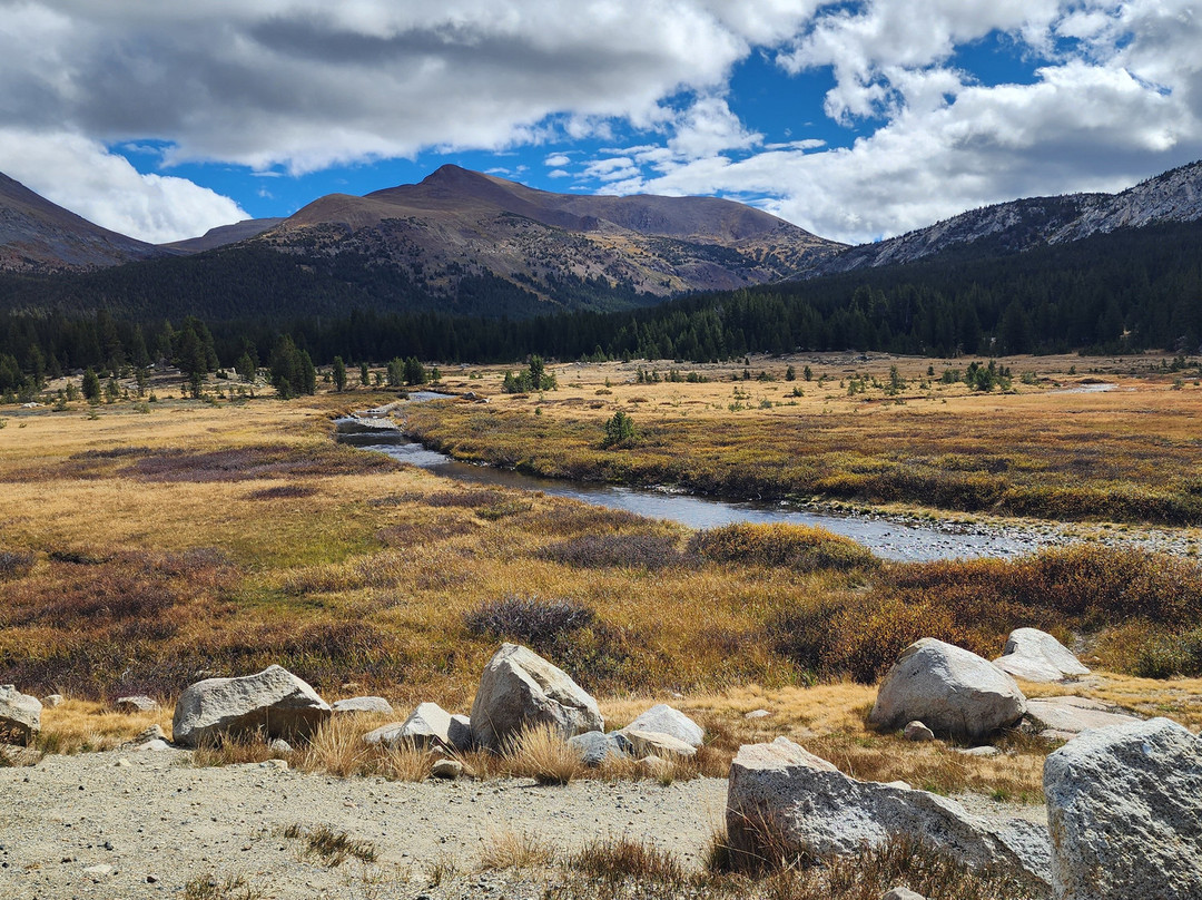 Yosemite Private Tours-Wawona必去景点