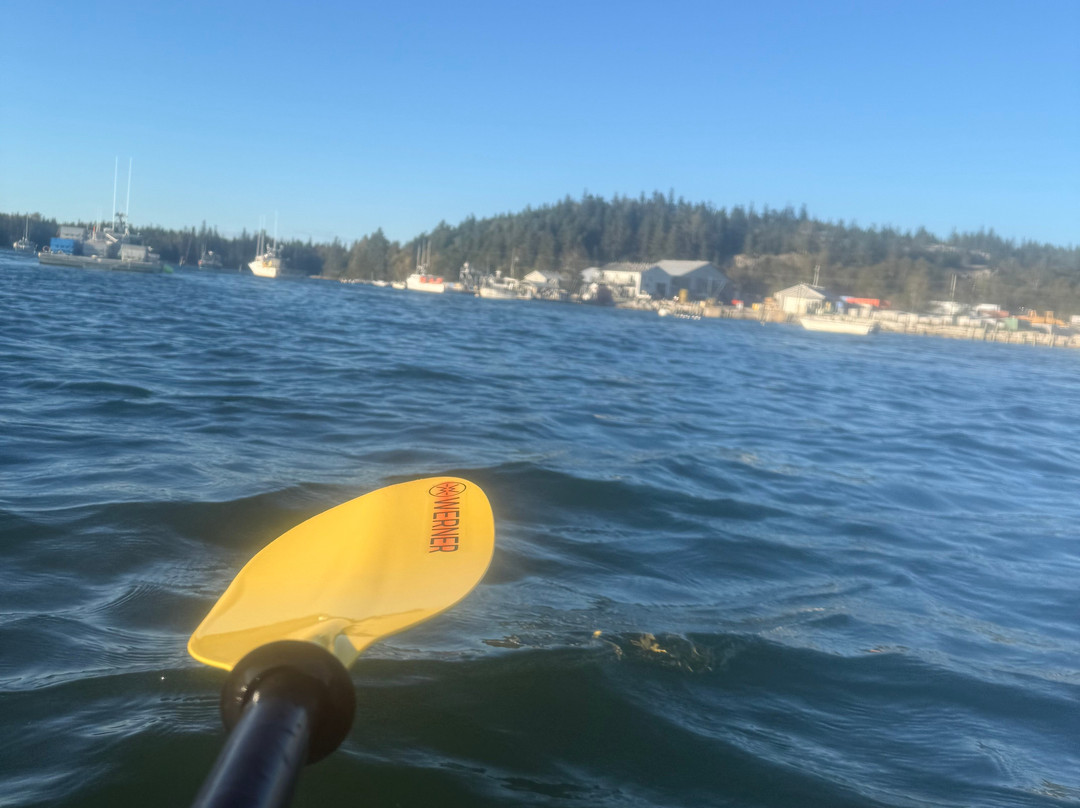Osprey's Echo Sea Kayaking-Stonington必去景点