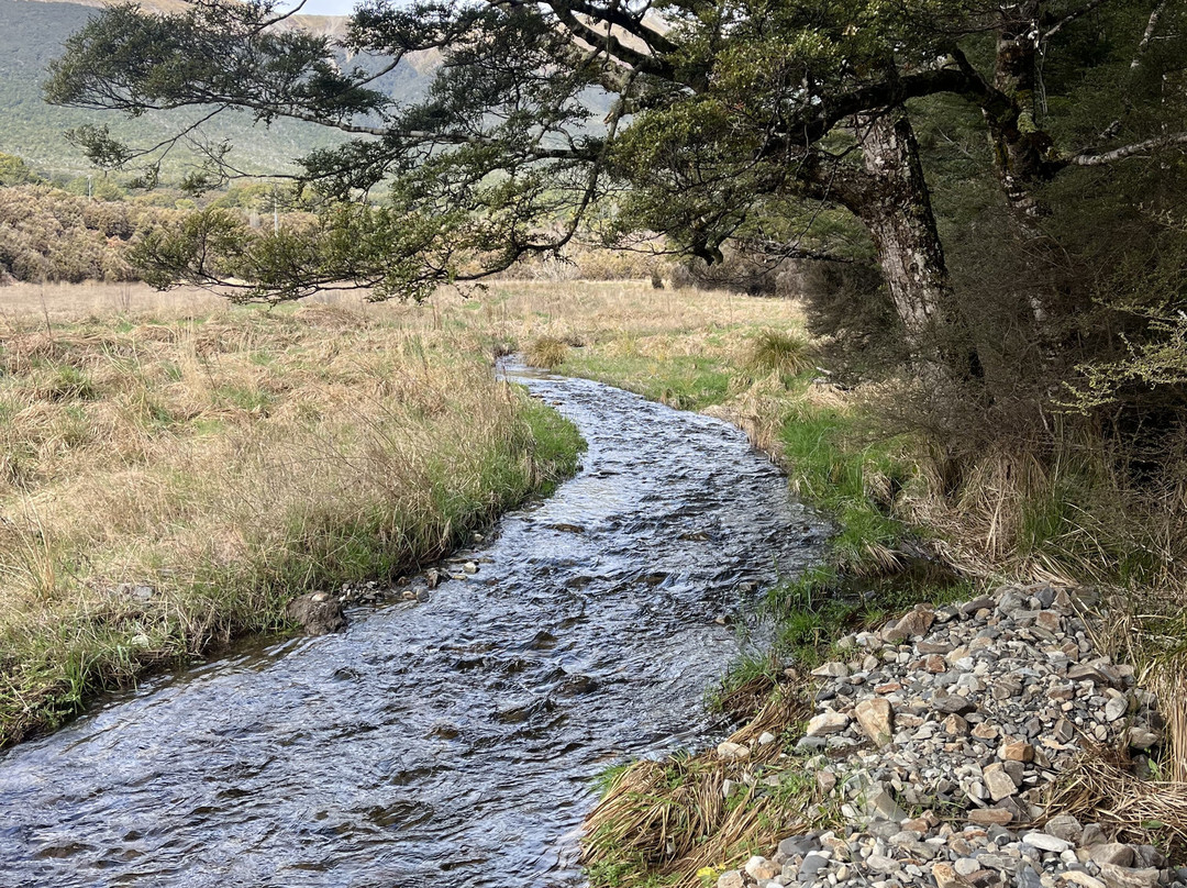 Streamside Sauna St Arnaud-Saint Arnaud必去景点