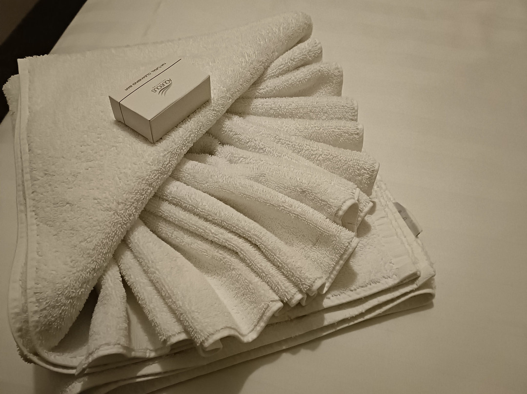 梅德汉斯德酒店主图