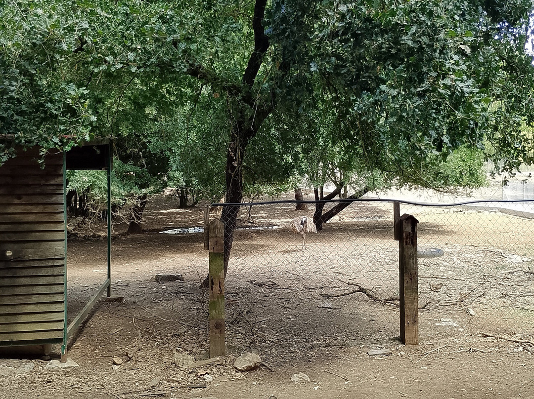 Agróktima Papákia-Karitena必去景点