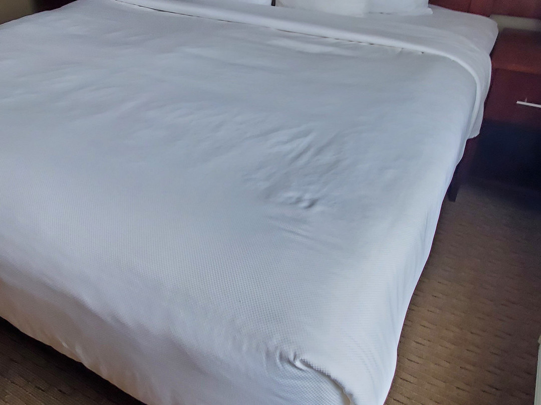 Comfort Suites主图