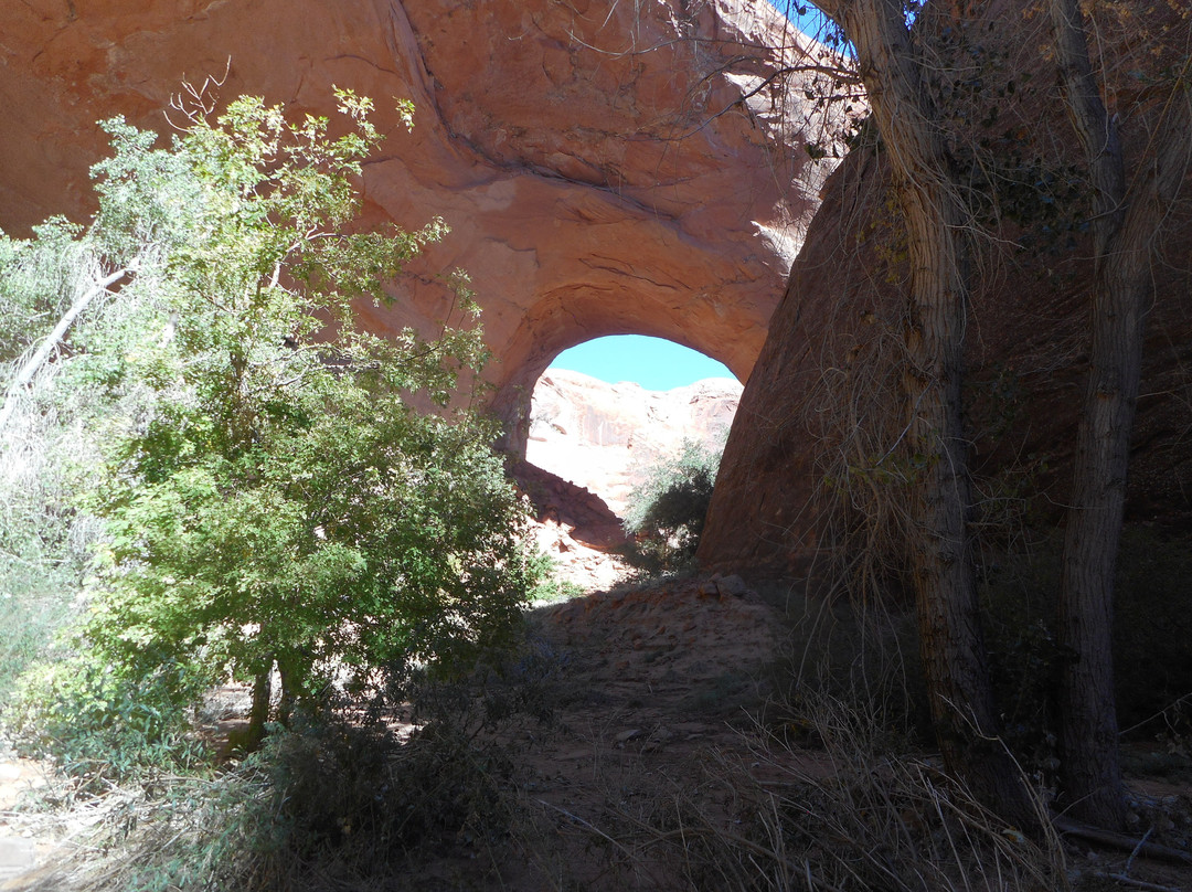 Coyote Gulch-埃斯卡兰特必去景点