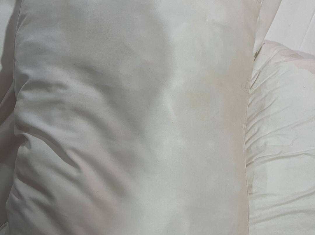 Bel Air Tremblant Resort主图