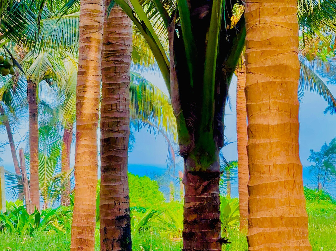 Sai Vishram Beach Resort Byndoor主图