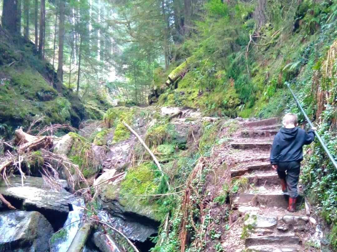 Puck's Glen-Benmore必去景点