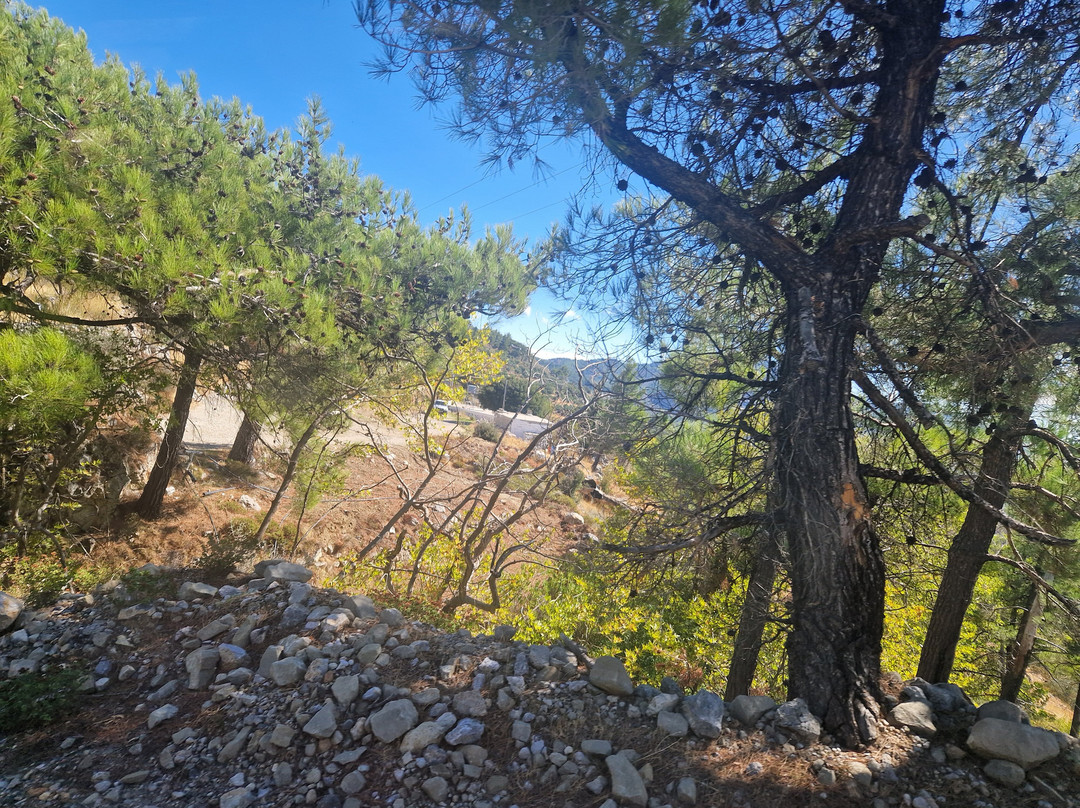 Go Crete Safari-马利亚必去景点