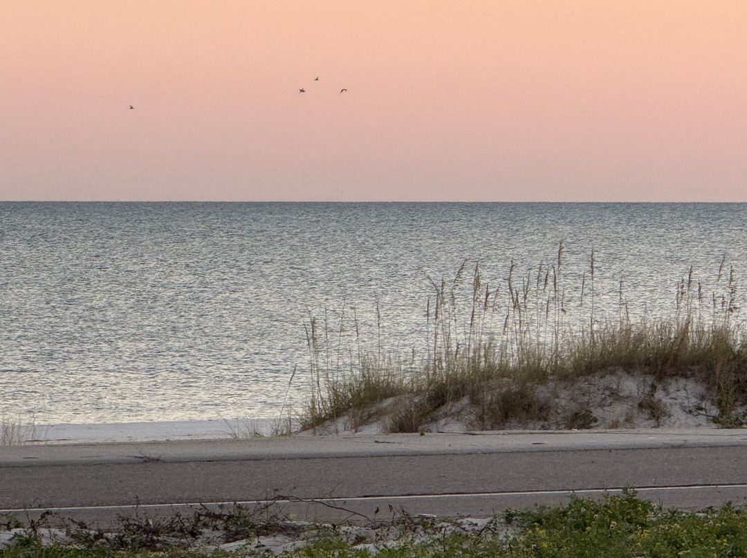 长滩智选假日酒店主图