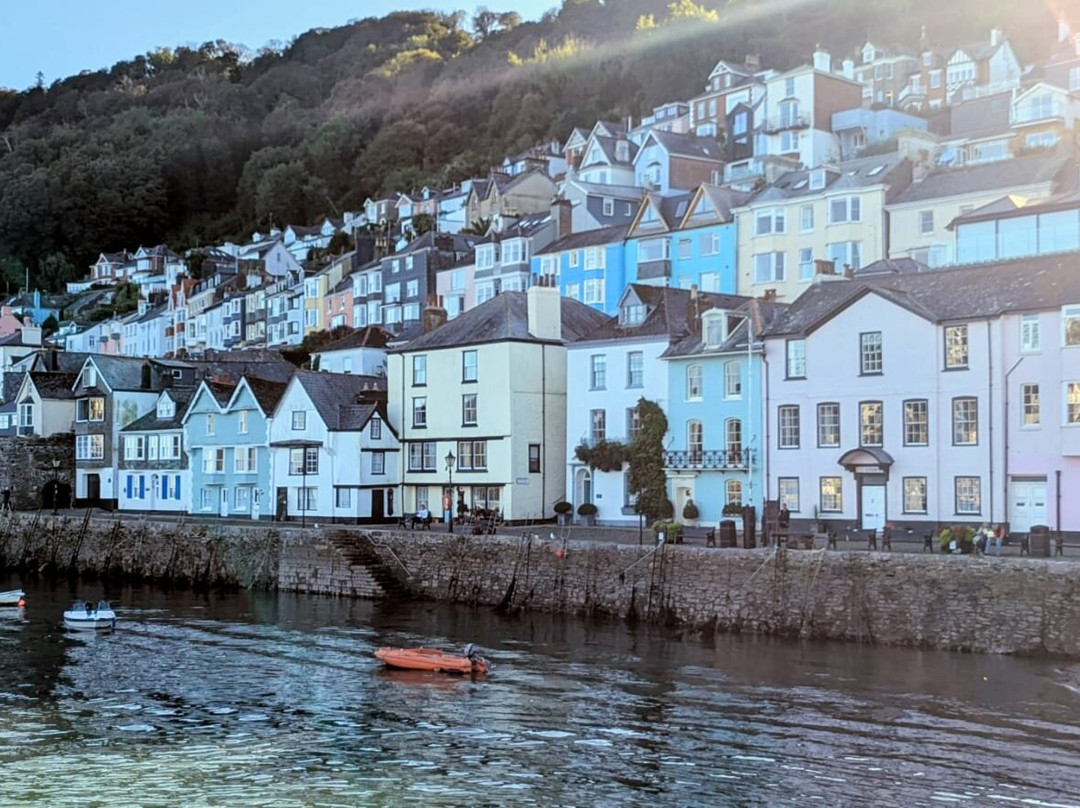 Unique Devon Tours-牛顿阿伯里必去景点