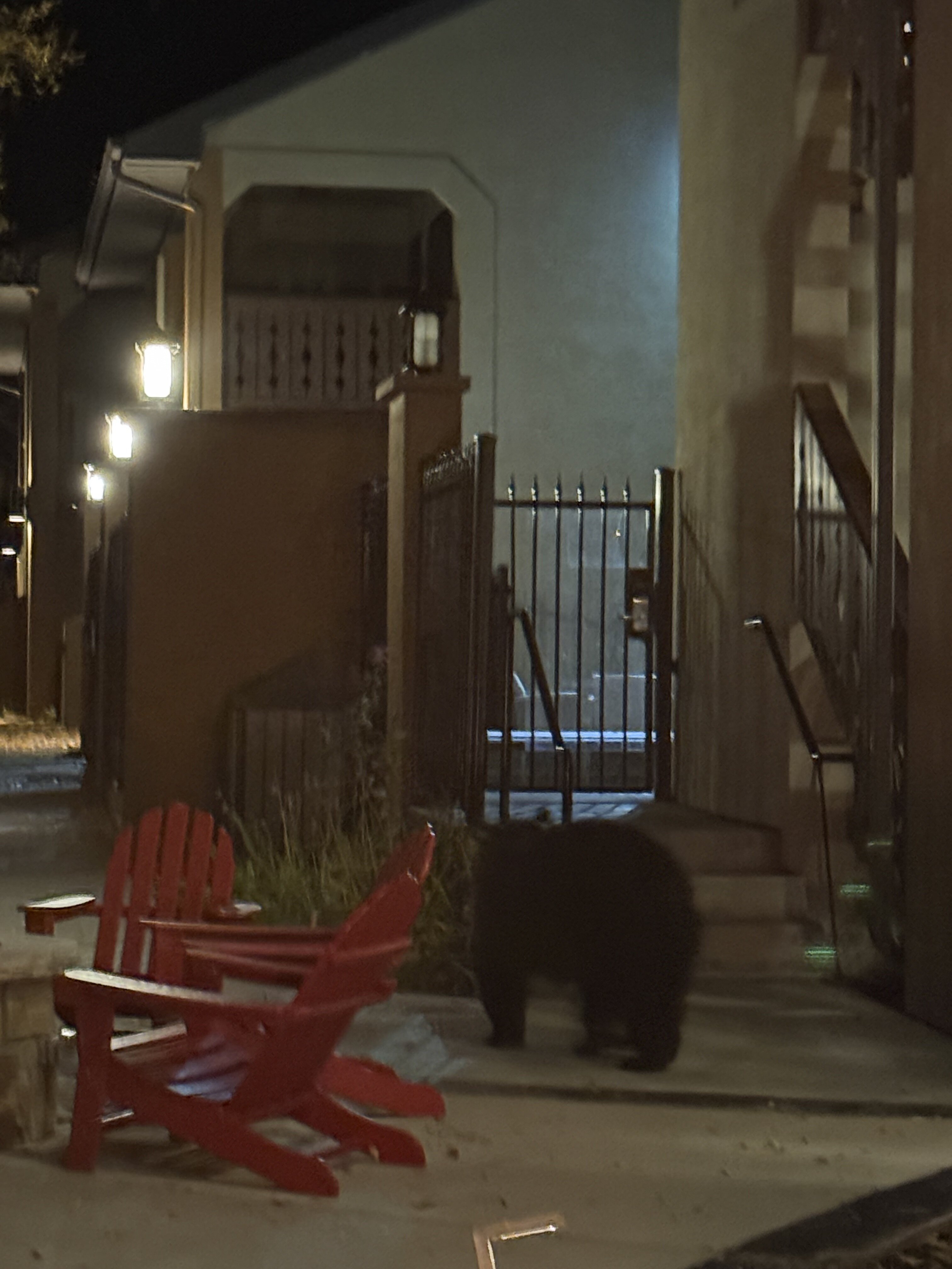 Silver Moon Inn-官方