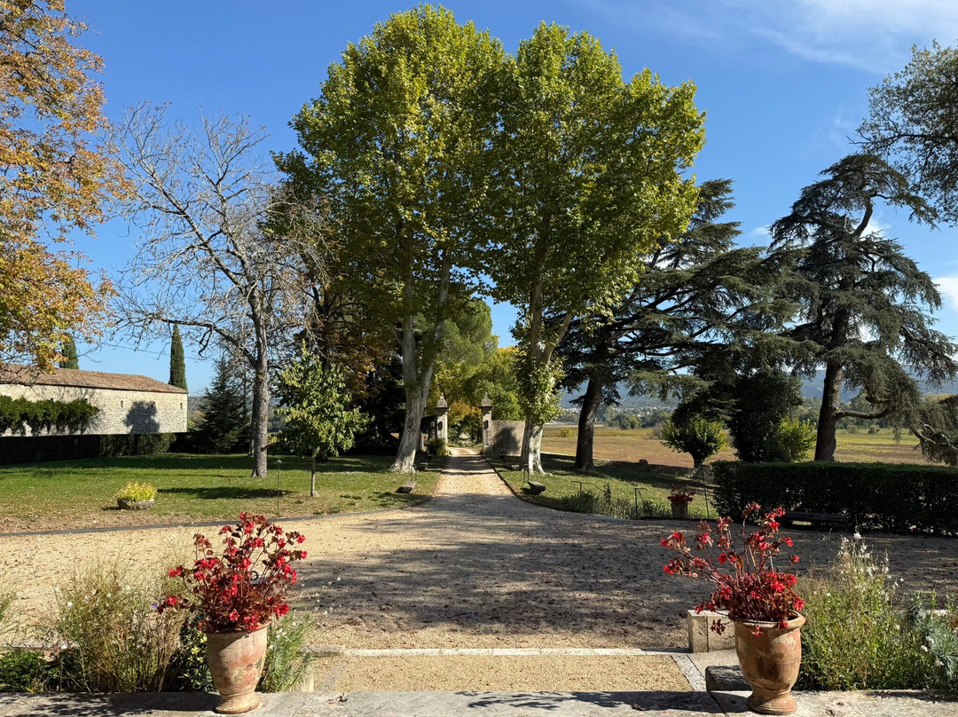 Hôtel Villa Walbaum主图