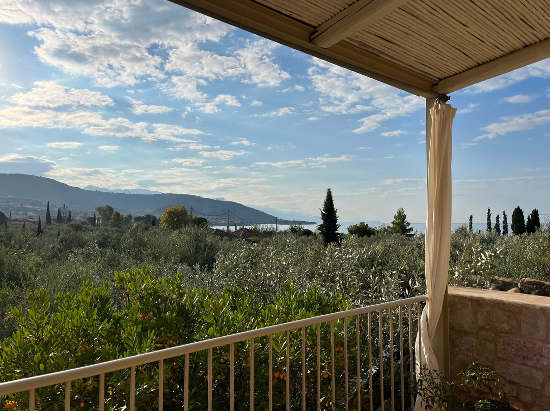 伊利斯酒店主图