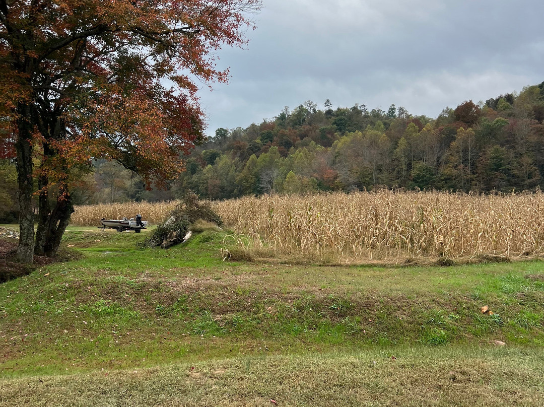 Cress Creeks Farm And Corn Maze-Ellijay必去景点