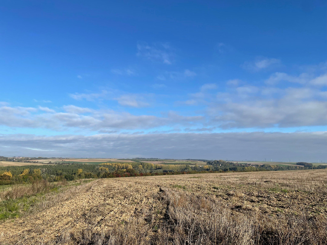 Ulster Memorial Tower & Thiepval Wood-Thiepval必去景点