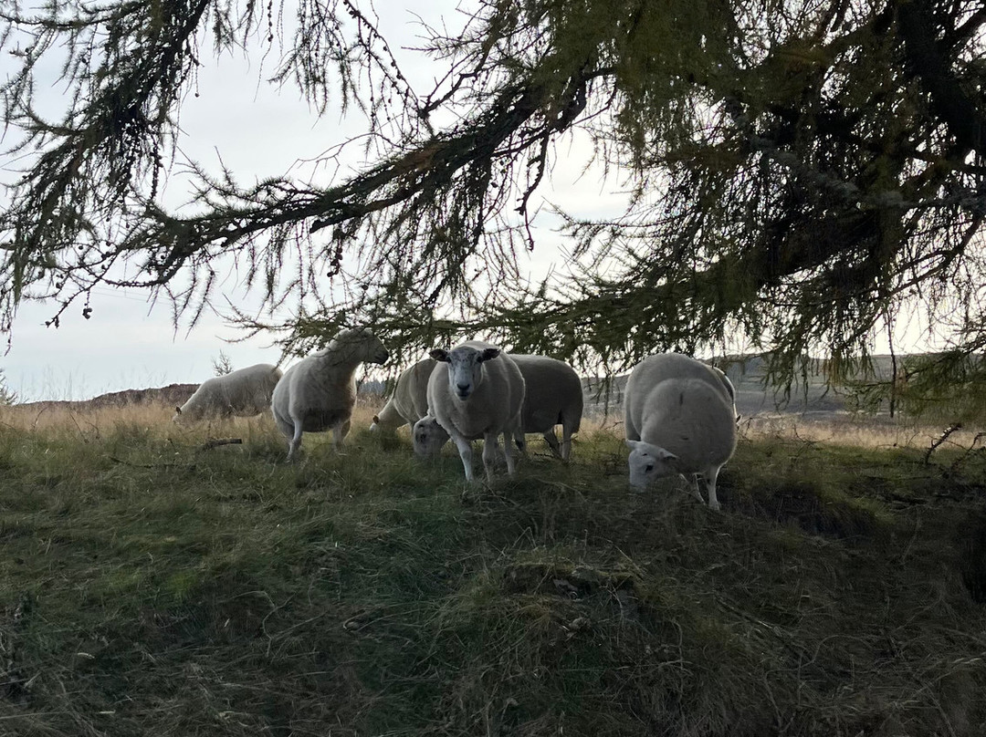 Land Rover Experience Scotland-Dunkeld必去景点