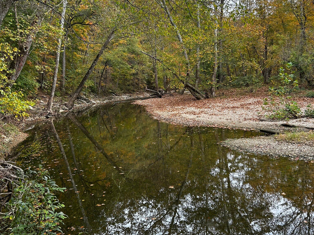 Cedar Bluffs Nature Preserve-布卢明顿必去景点